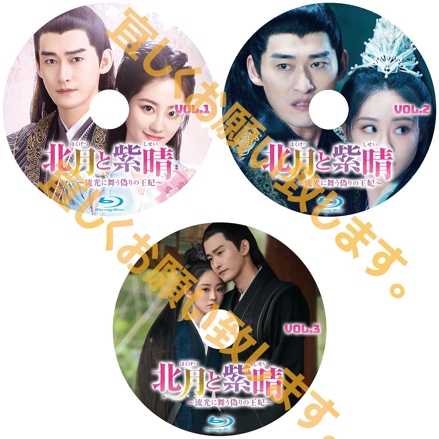 C834. 北月と紫晴~流光に舞う偽りの王妃~