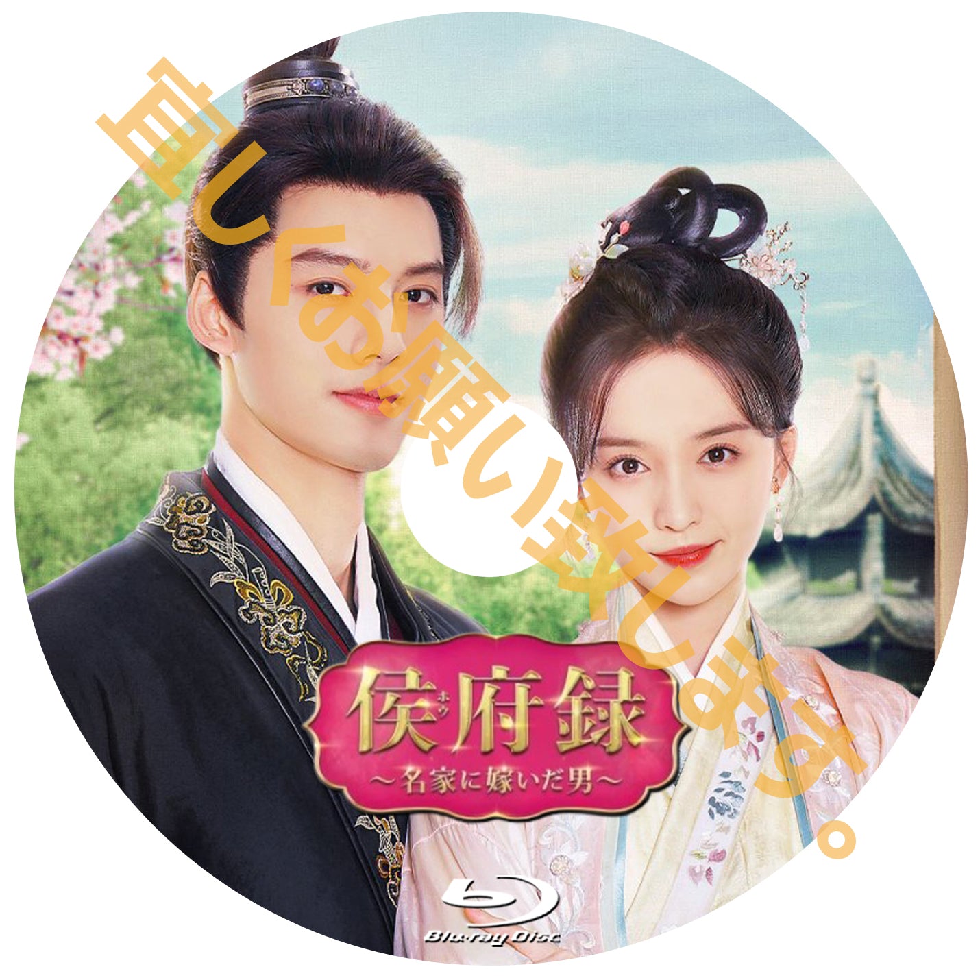 C893. 侯府録~名家に嫁いだ男~