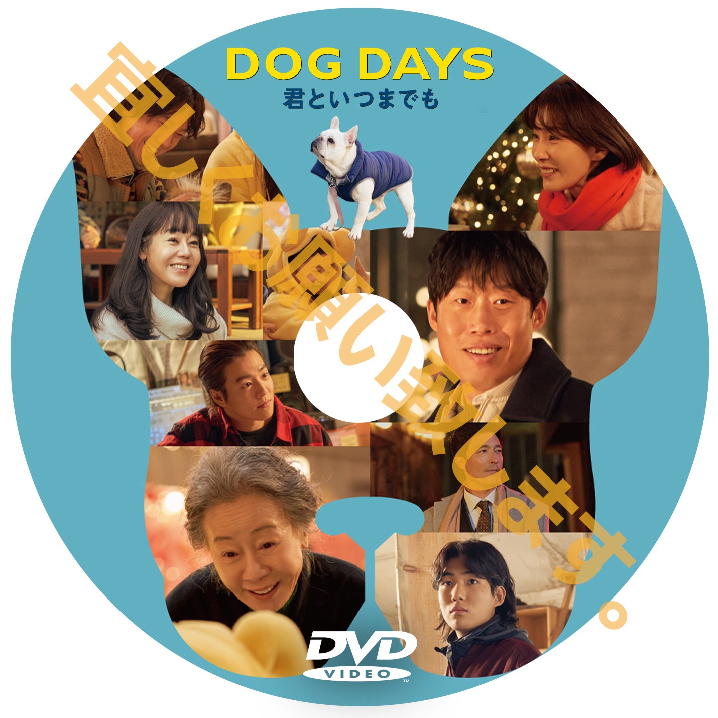 918. DOG DAYS 君といつまでも (韓国映画)