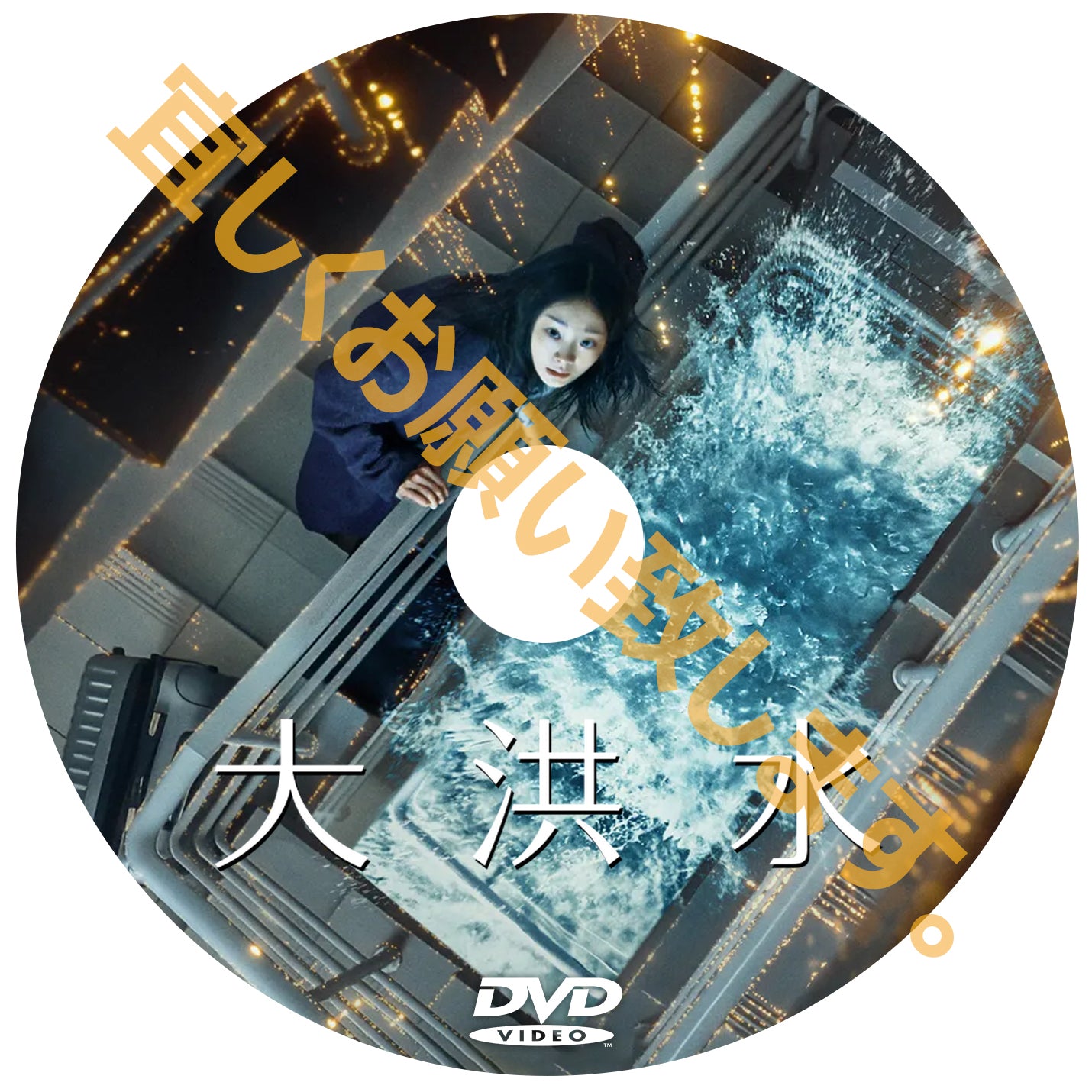 1095. 大洪水 (韓国映画)