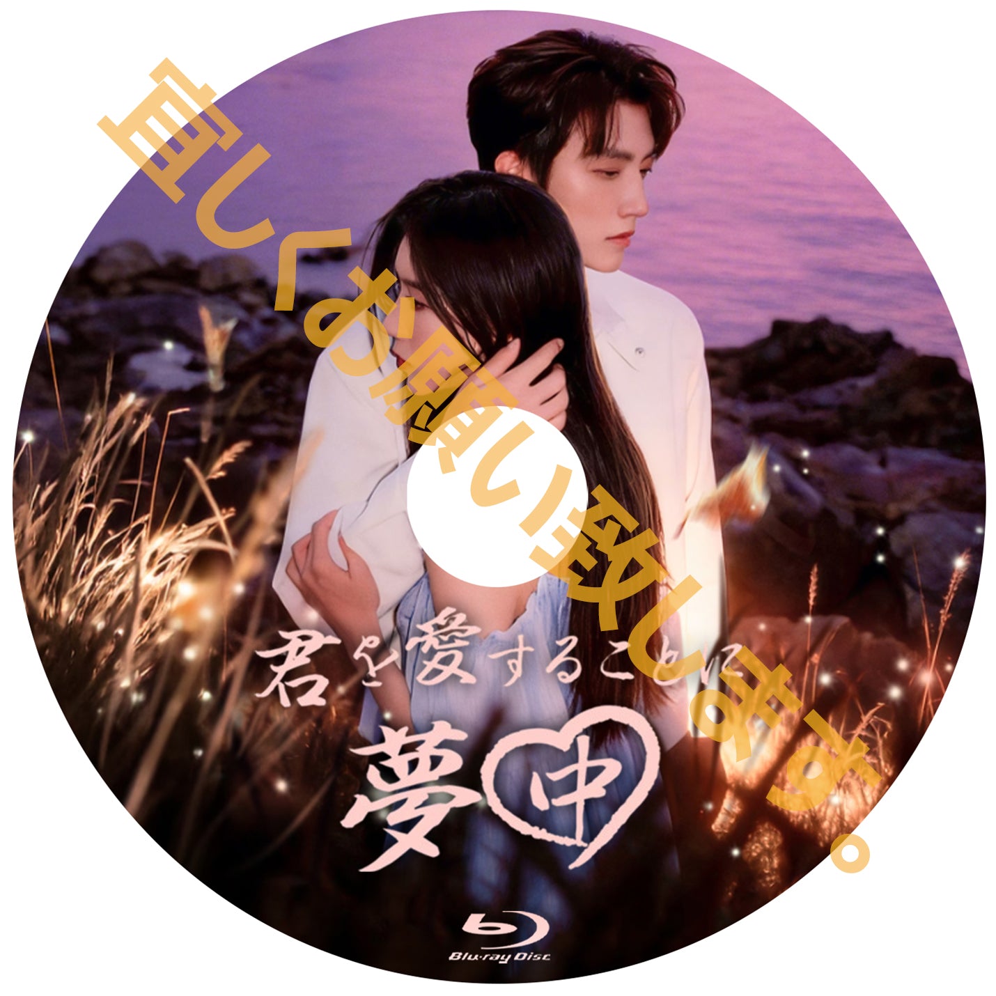 C904. 君を愛することに夢中