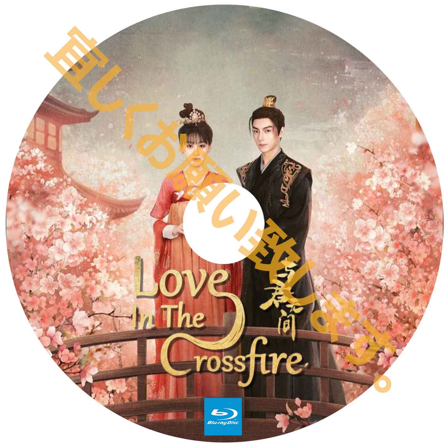 A364. Love in the Crossfire 【自動翻訳版】
