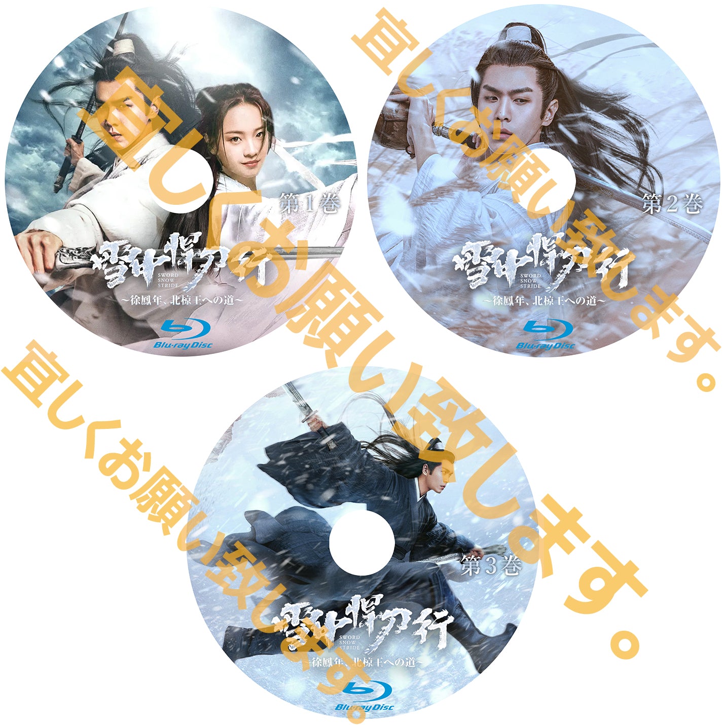 C540. 雪中悍刀行~徐鳳年、北椋王への道~