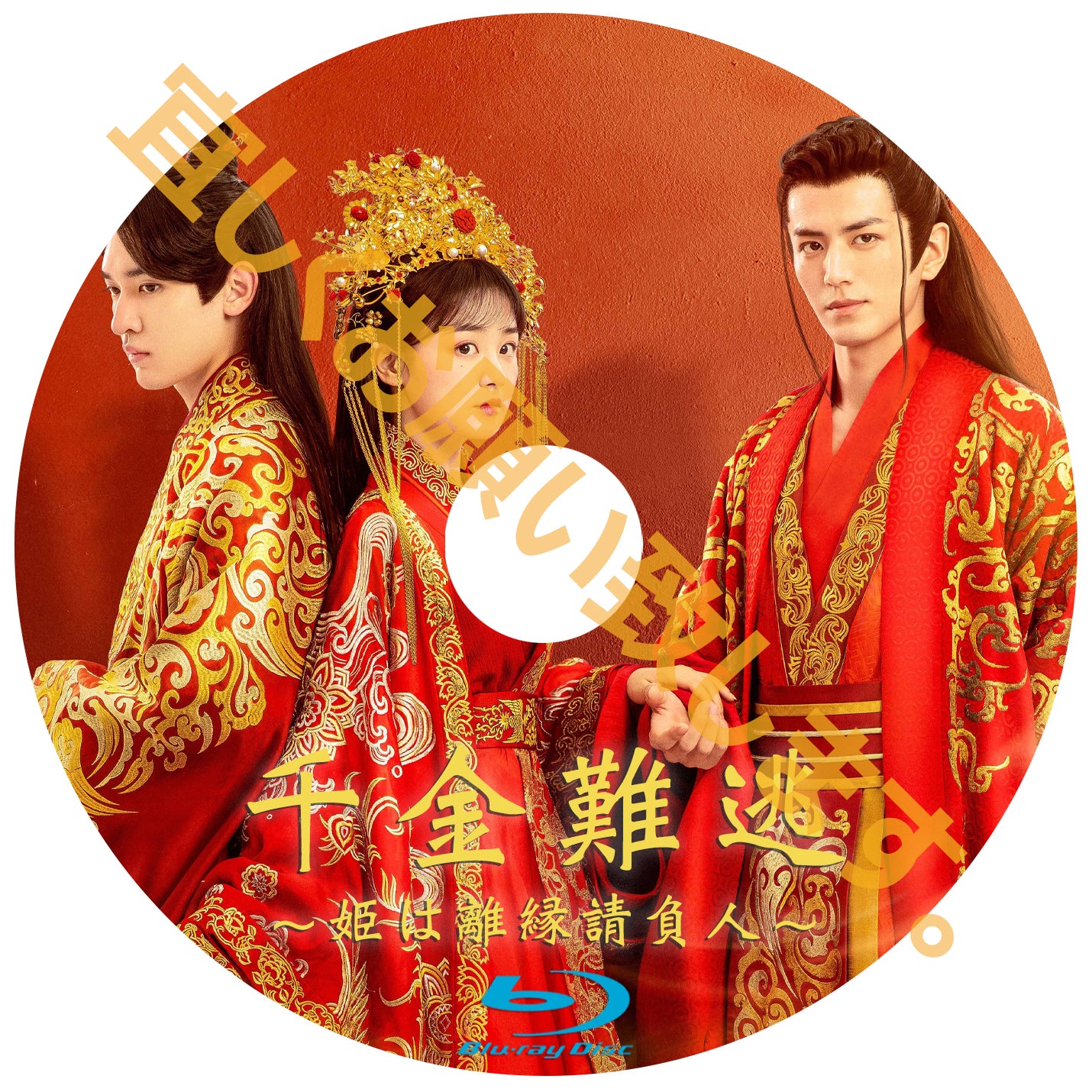 C218. 千金難逃~姫は離縁請負人~