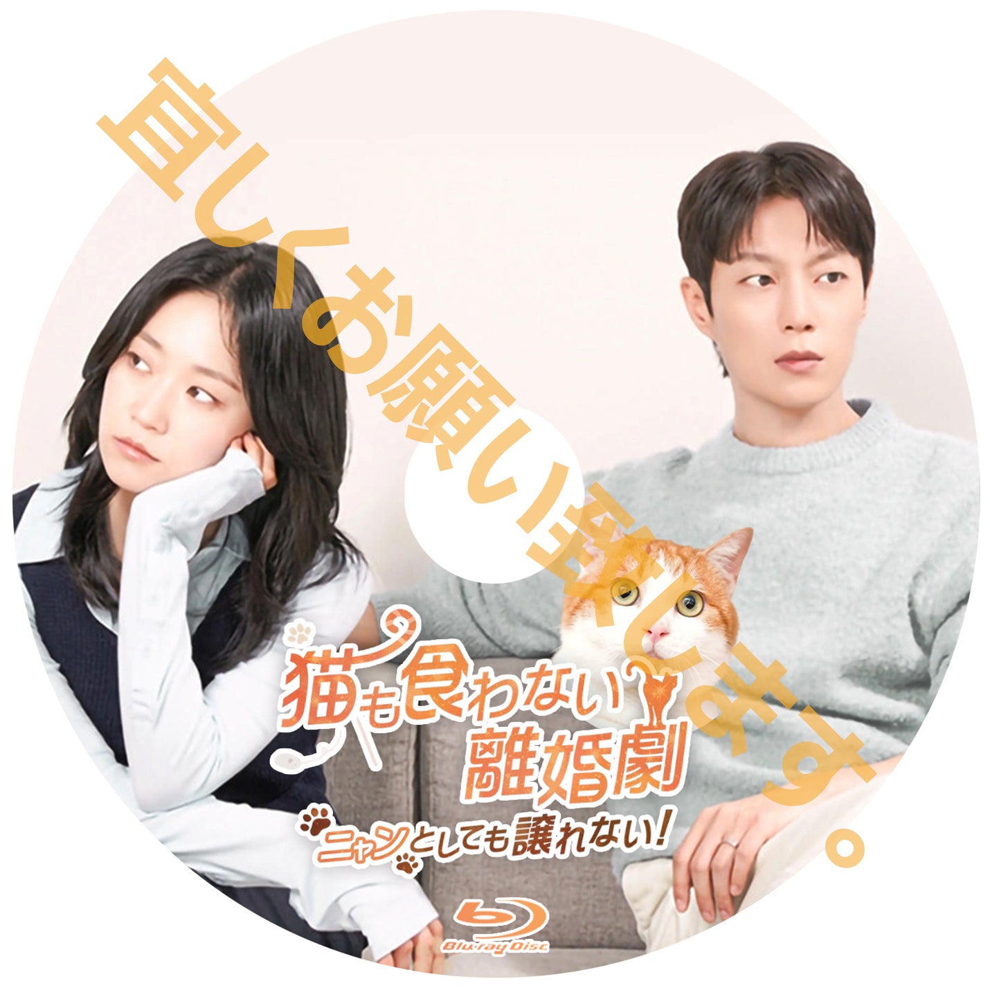 1176. 猫も食わない離婚劇~ニャンとしても譲れない!~