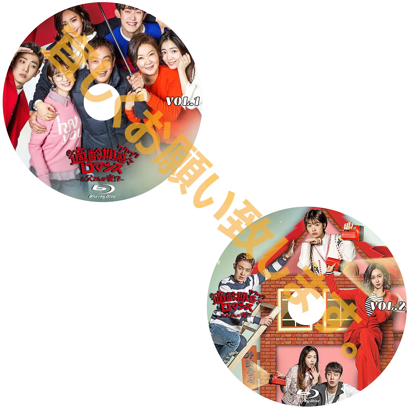 875.適齢期惑々ロマンス~お父さんが変~