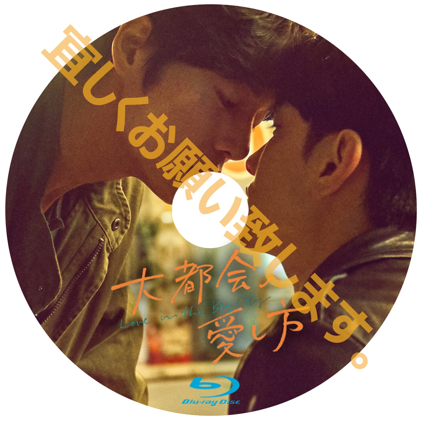 1131. 大都会の愛し方