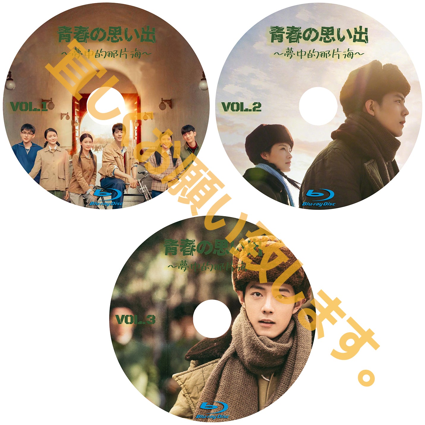 C331. 青春の思い出~夢中的那片海~