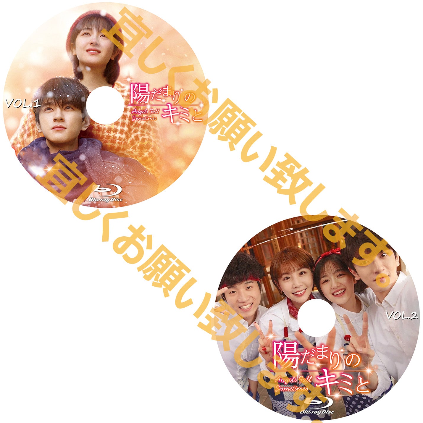 C517. 陽だまりのキミと