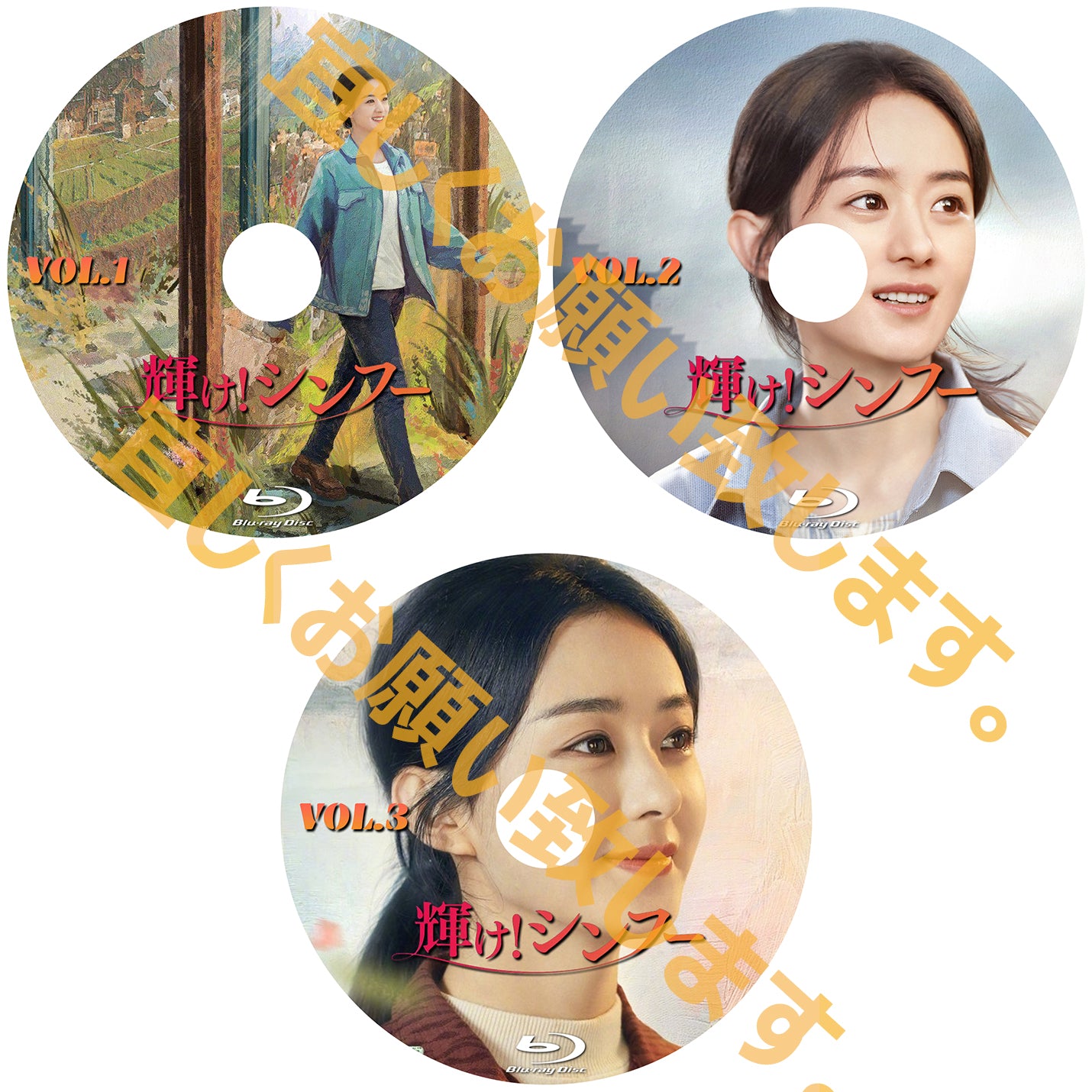 C584. 輝け!シンフー~幸福到万家