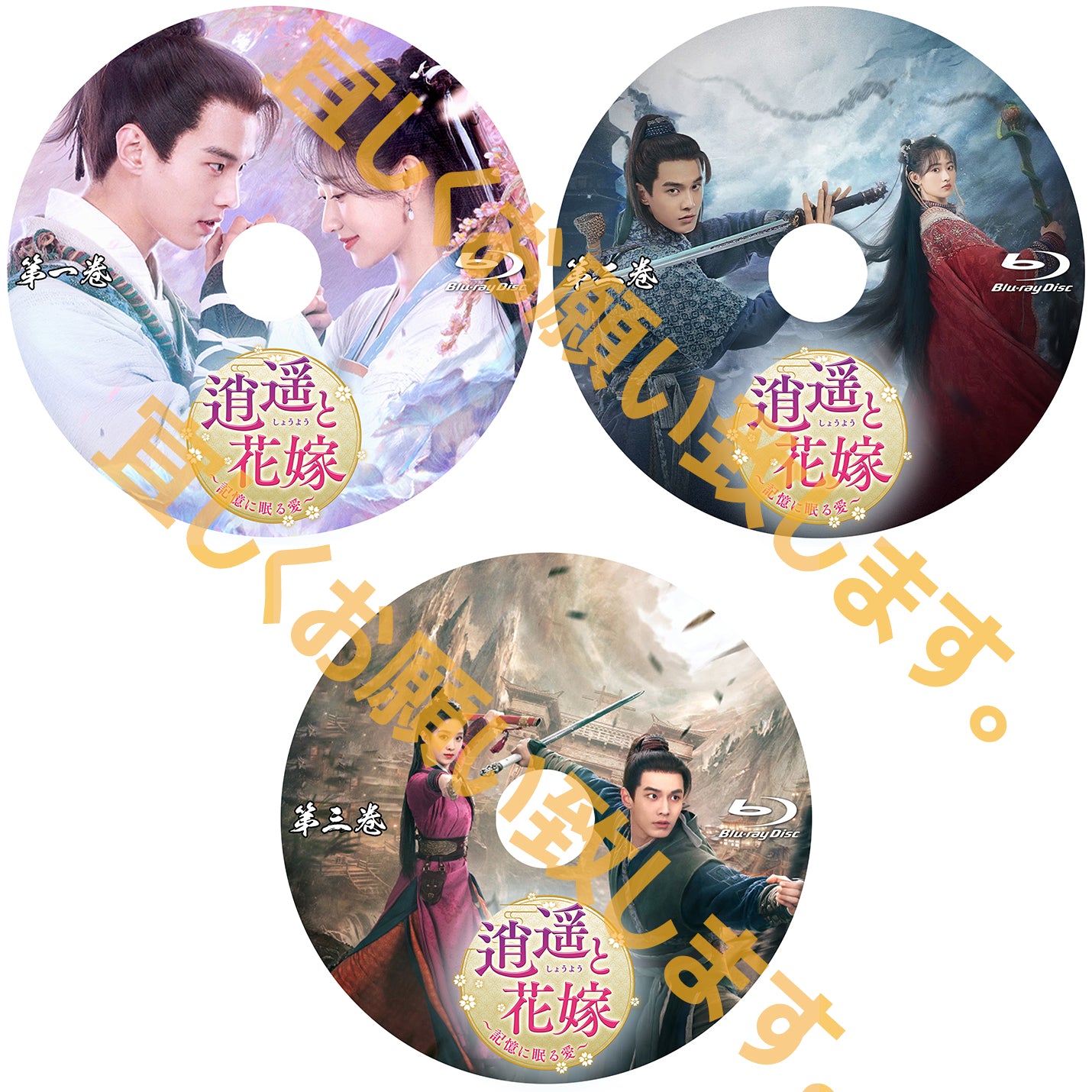 C590. 逍遥と花嫁~記憶に眠る愛