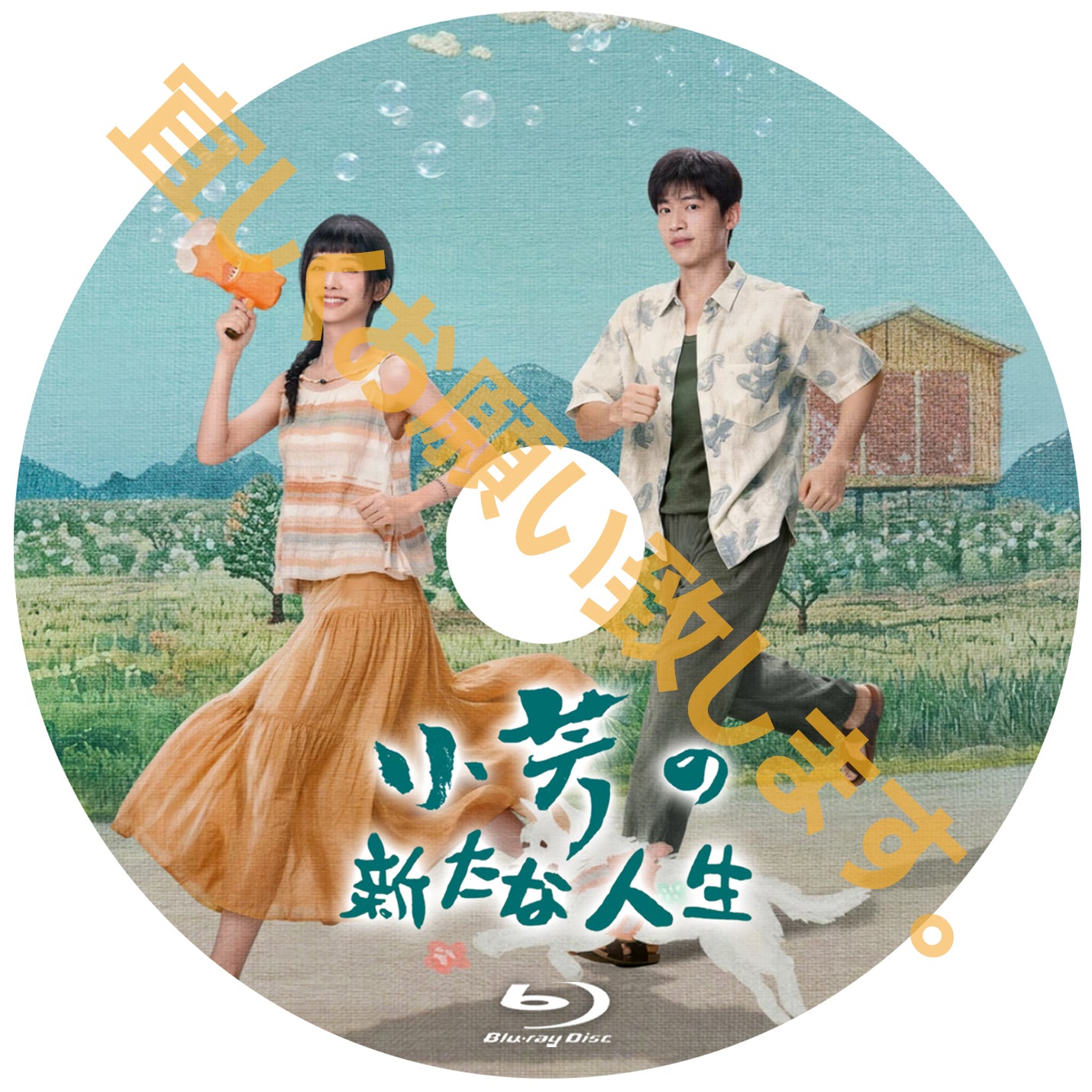 C1017. 小芳の新たな人生