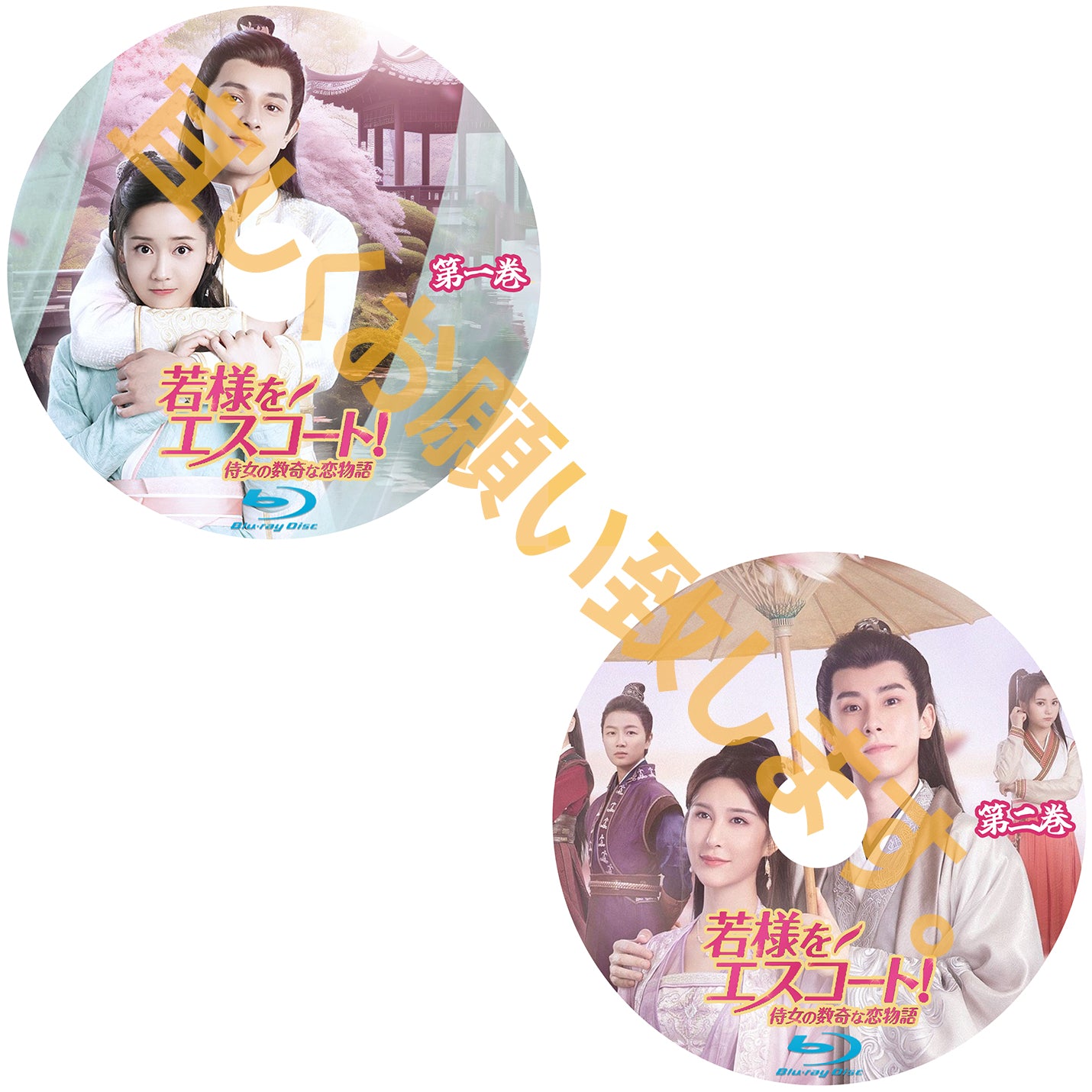 C419. 若様をエスコート! 侍女の数奇な恋物語