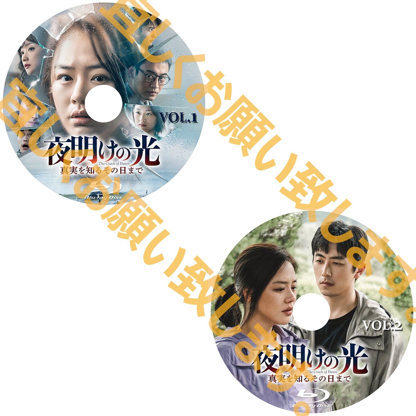 C463. 夜明けの光 真実を知るその日まで