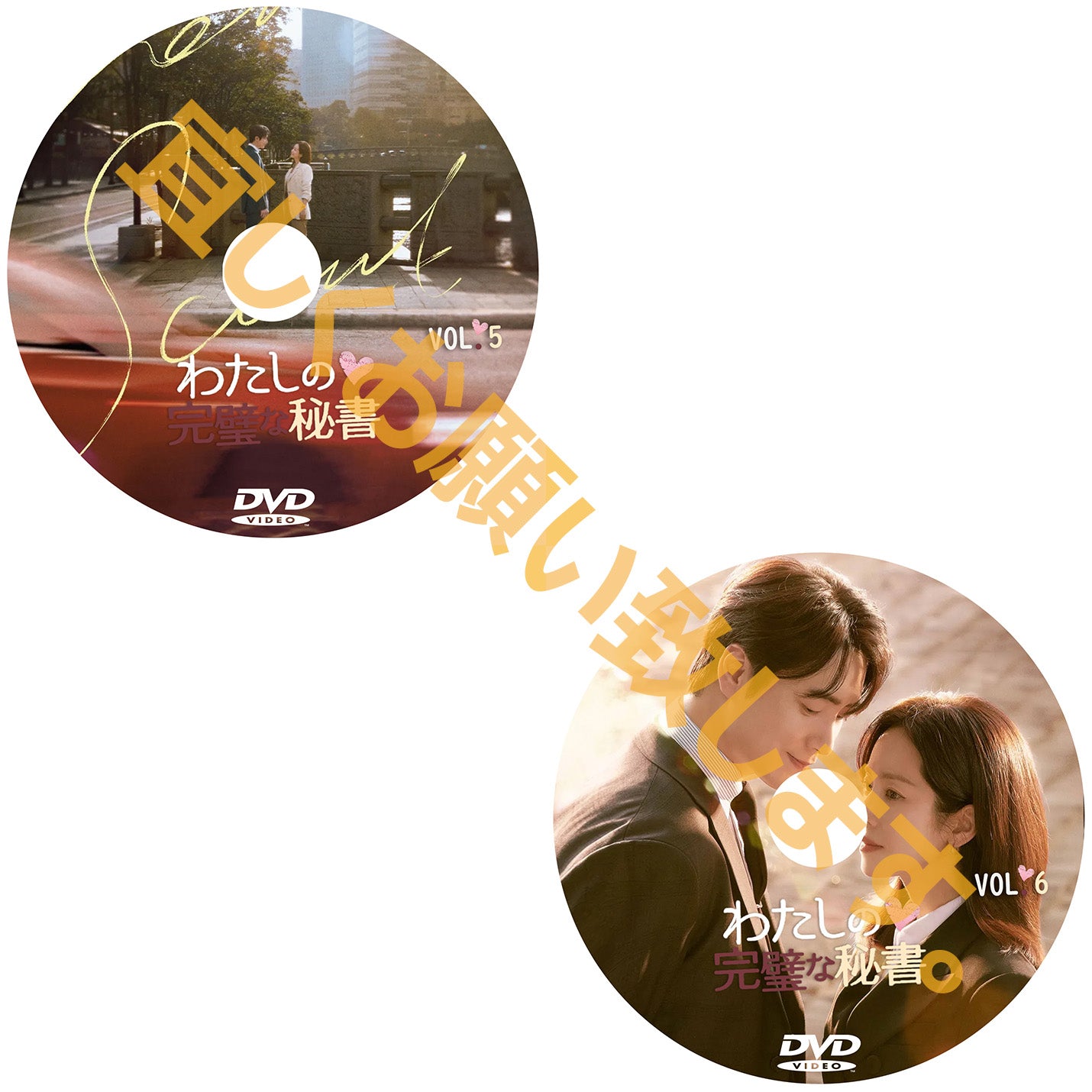 909. わたしの完璧な秘書