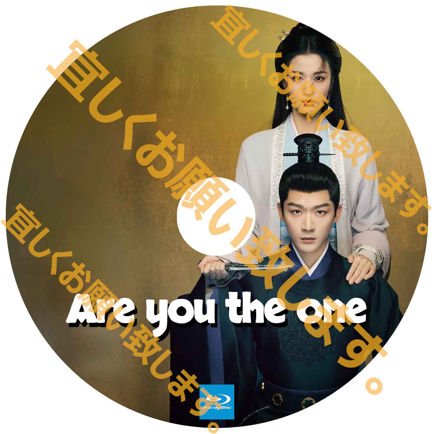 A300. Are you the one 【自動翻訳版】