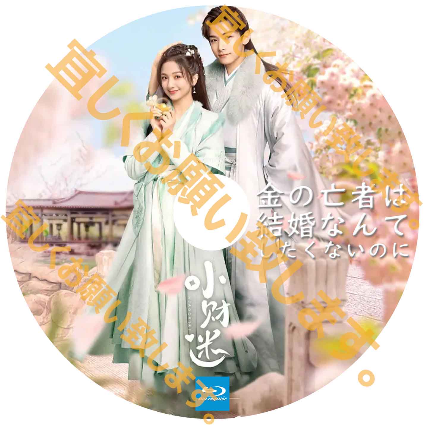 A295. 金の亡者は結婚なんてしたくないのに 【自動翻訳版】