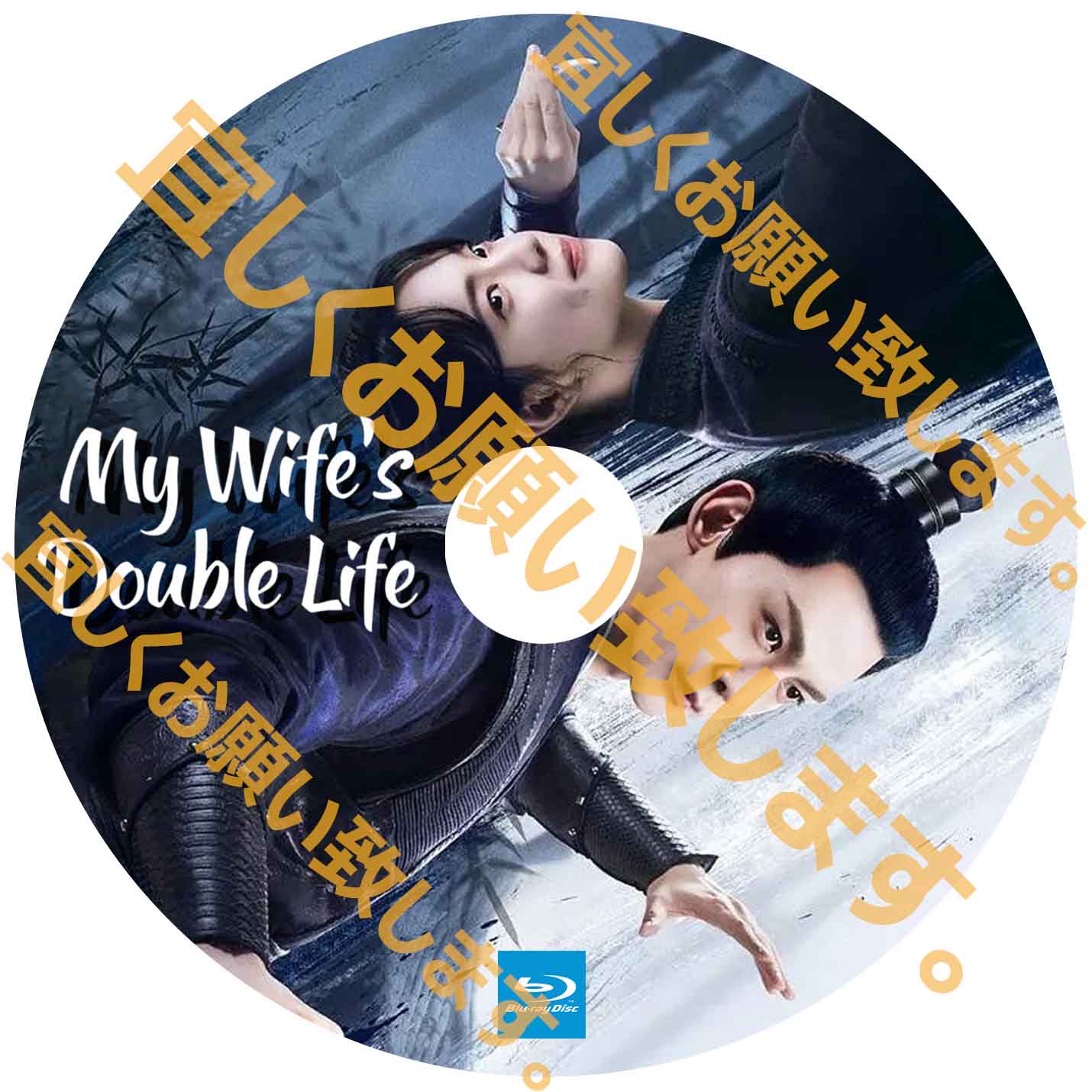 A266. My Wife's Double Life 【自動翻訳版】
