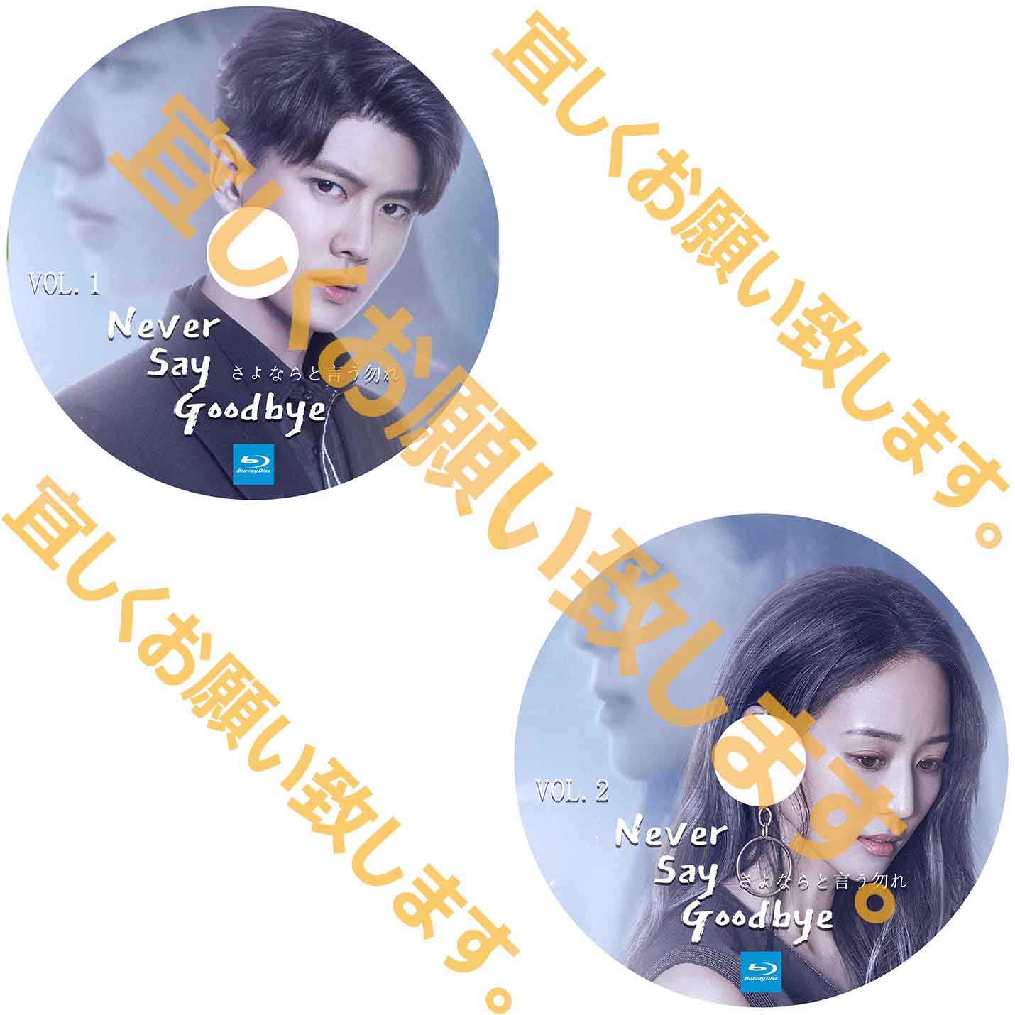 A239. さよならと言う勿れ Never Say Goodbye 【自動翻訳版】