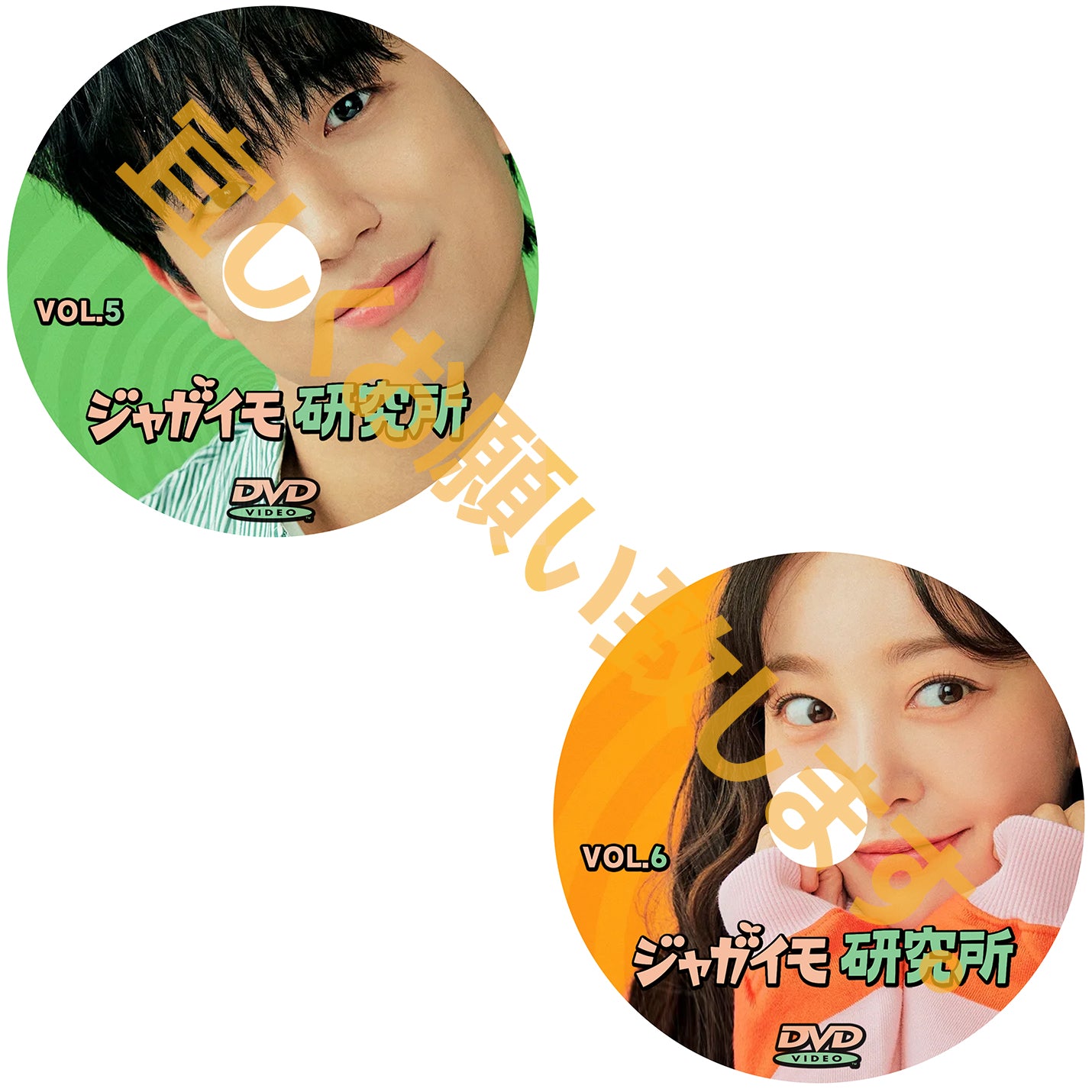 928. ジャガイモ研究所