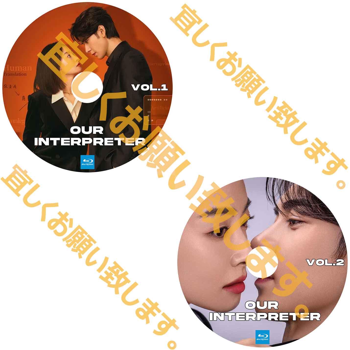A170. Our Interpreter 【自動翻訳版】