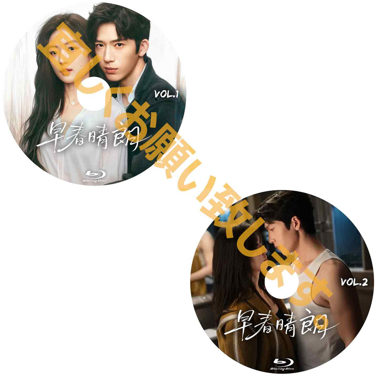 C1052. 早春晴朗【予約販売商品】