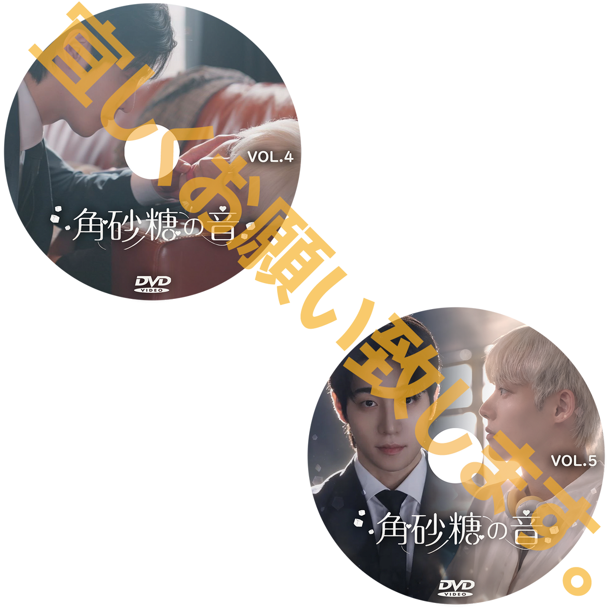 1290. 角砂糖の音 【予約販売商品】