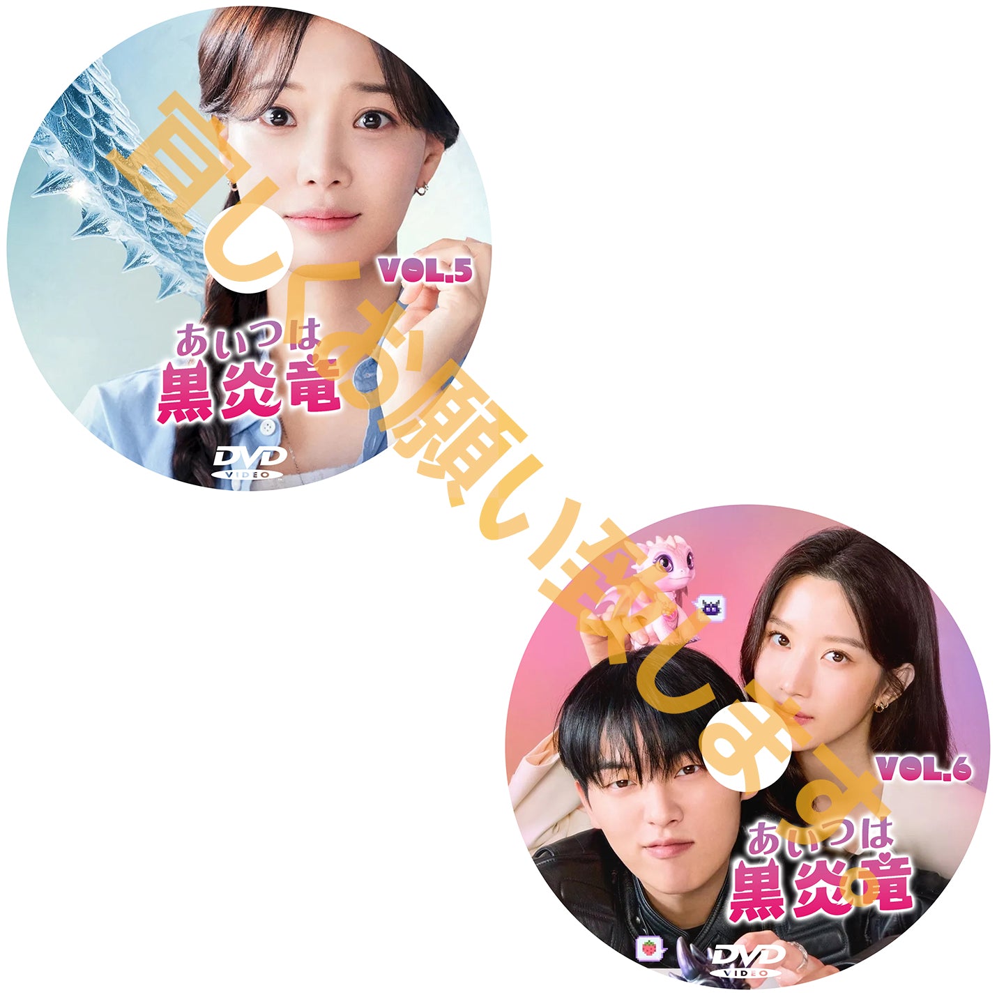 914. あいつは黒炎竜