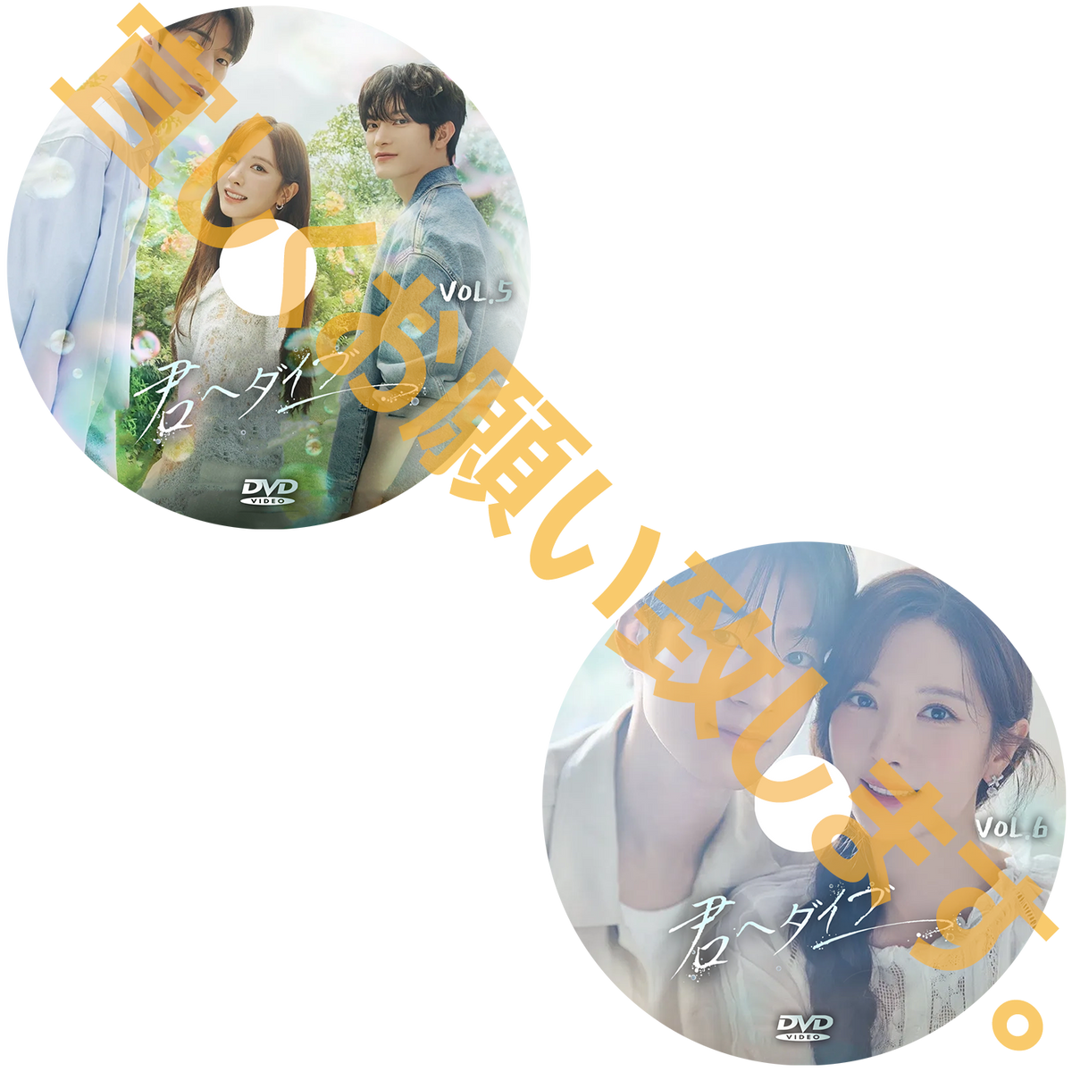 1278. 君へダイブ 【予約販売商品】