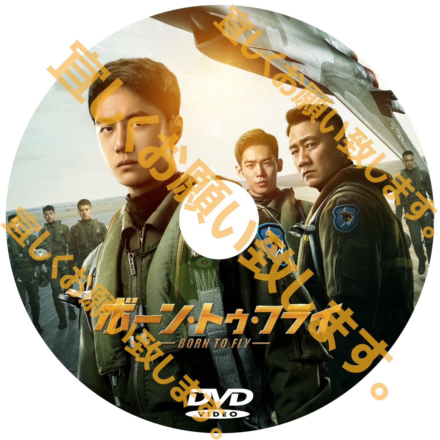 C502. ボーン・トゥ・フライ (中国映画)