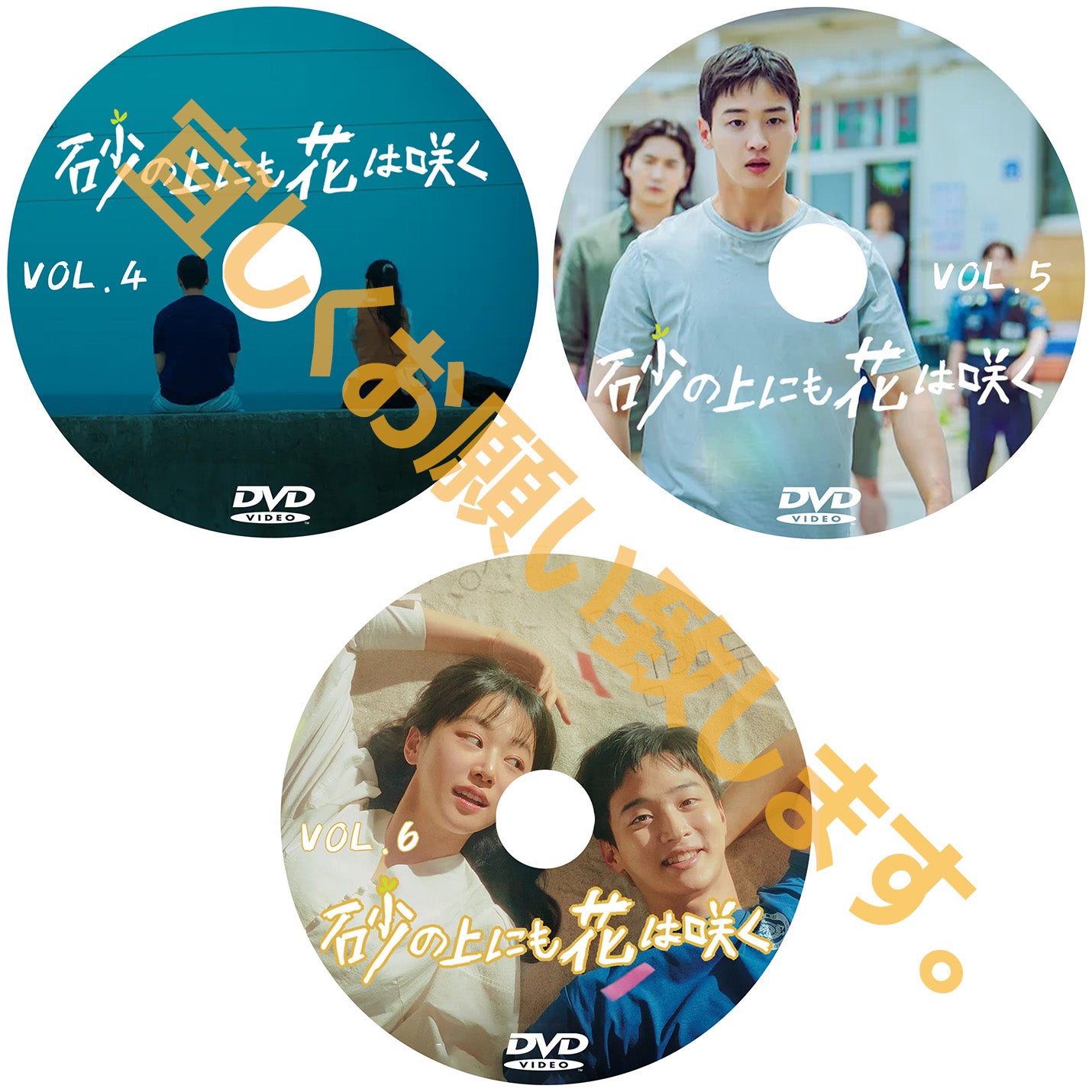 662. 砂の上にも花は咲く