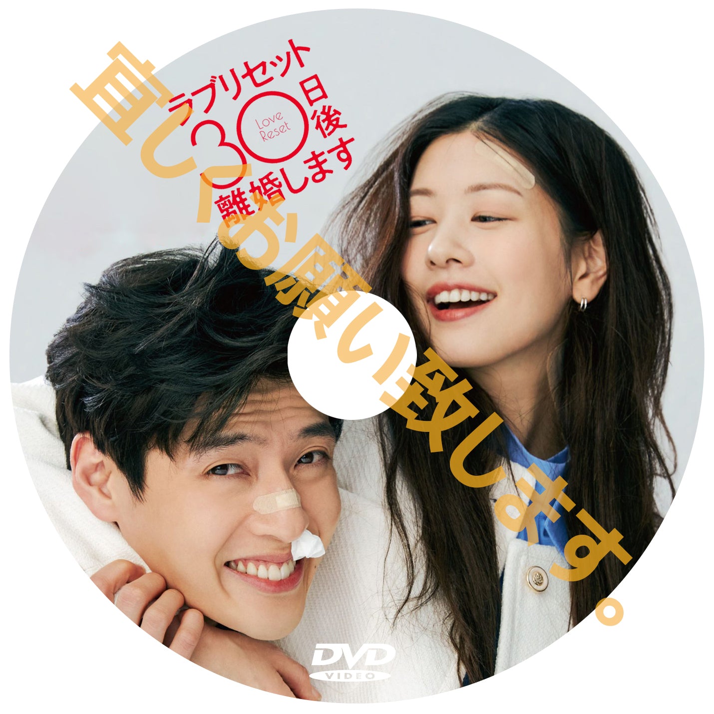 732. ラブリセット 30日後、離婚します (韓国映画)