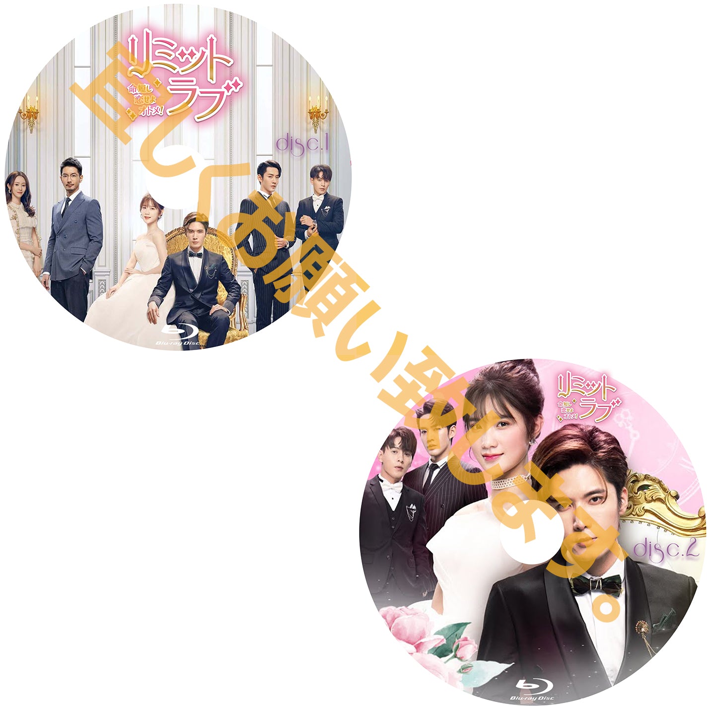 C134. リミット・ラブ<命短し恋せよオトメ>