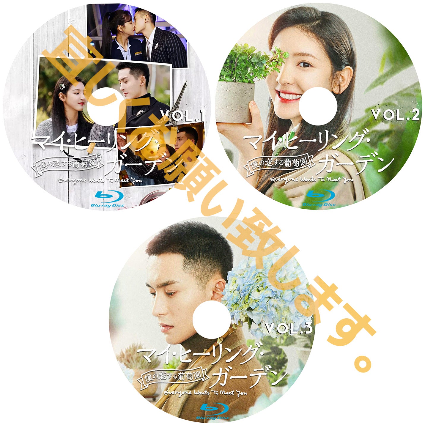 C144. マイヒーリングガーデン~僕の恋する葡萄園~