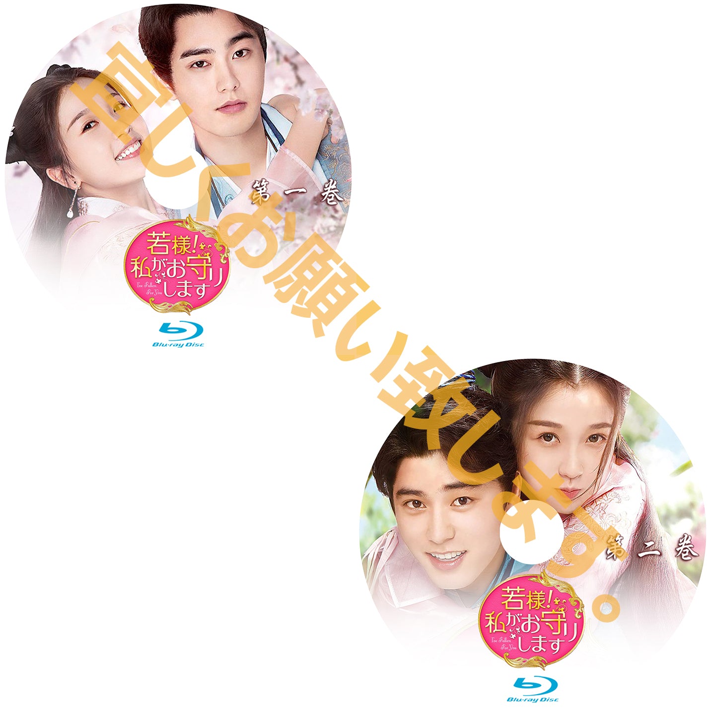 C155. 若様!私がお守りします