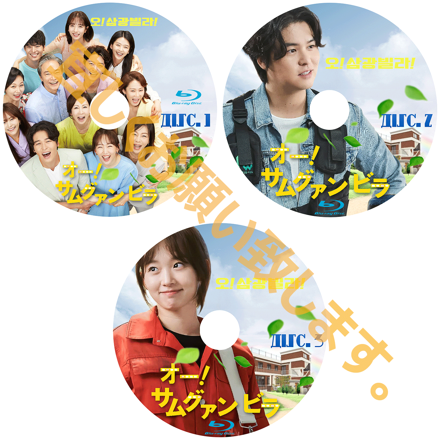 492. オ!サムグァンビラ