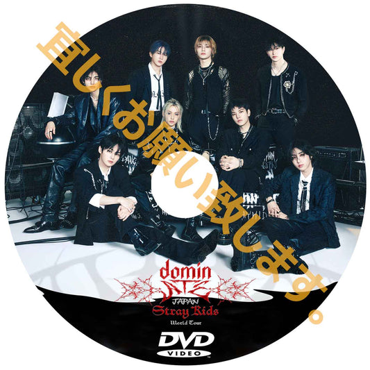 D878. Stray Kids World Tour <dominATE JAPAN> ONLINE LIVE OSAKA