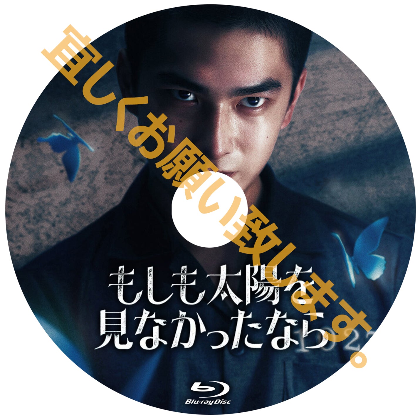 C736. もしも太陽を見なかったなら　