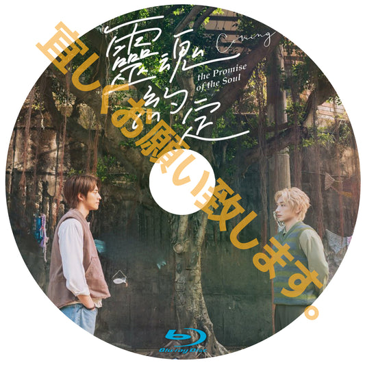 C819. Promise of the Soul  台湾ドラマ