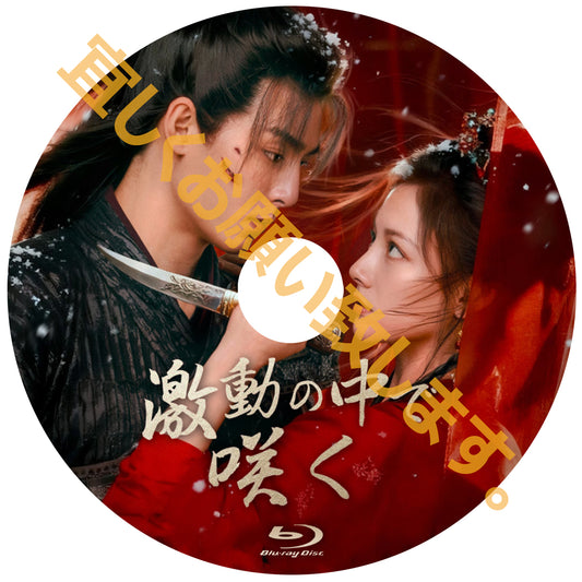 C884. 激動の中で咲く