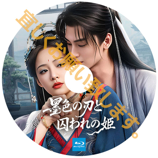 A490. 墨色の刃と囚われの姫