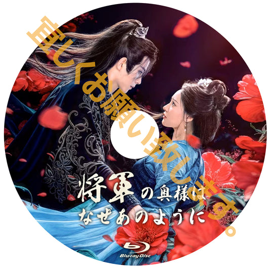 C684. 将軍の奥様はなぜあのように