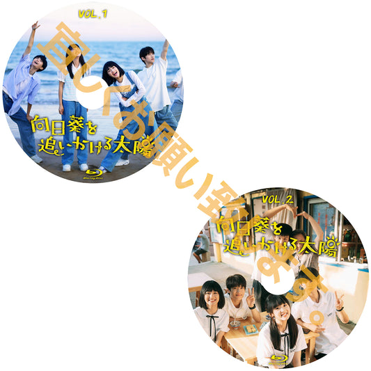 C943. 向日葵を追いかける太陽