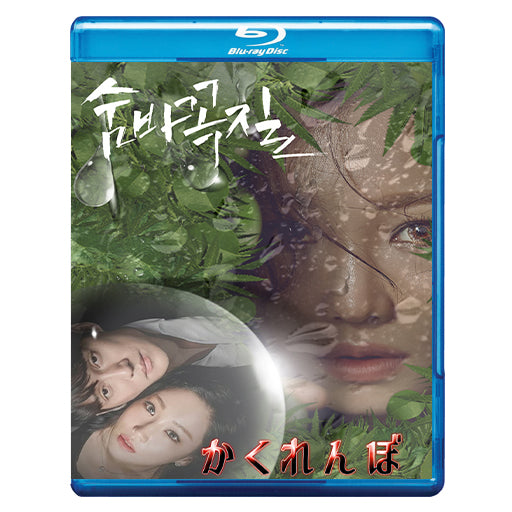 1063.かくれんぼ