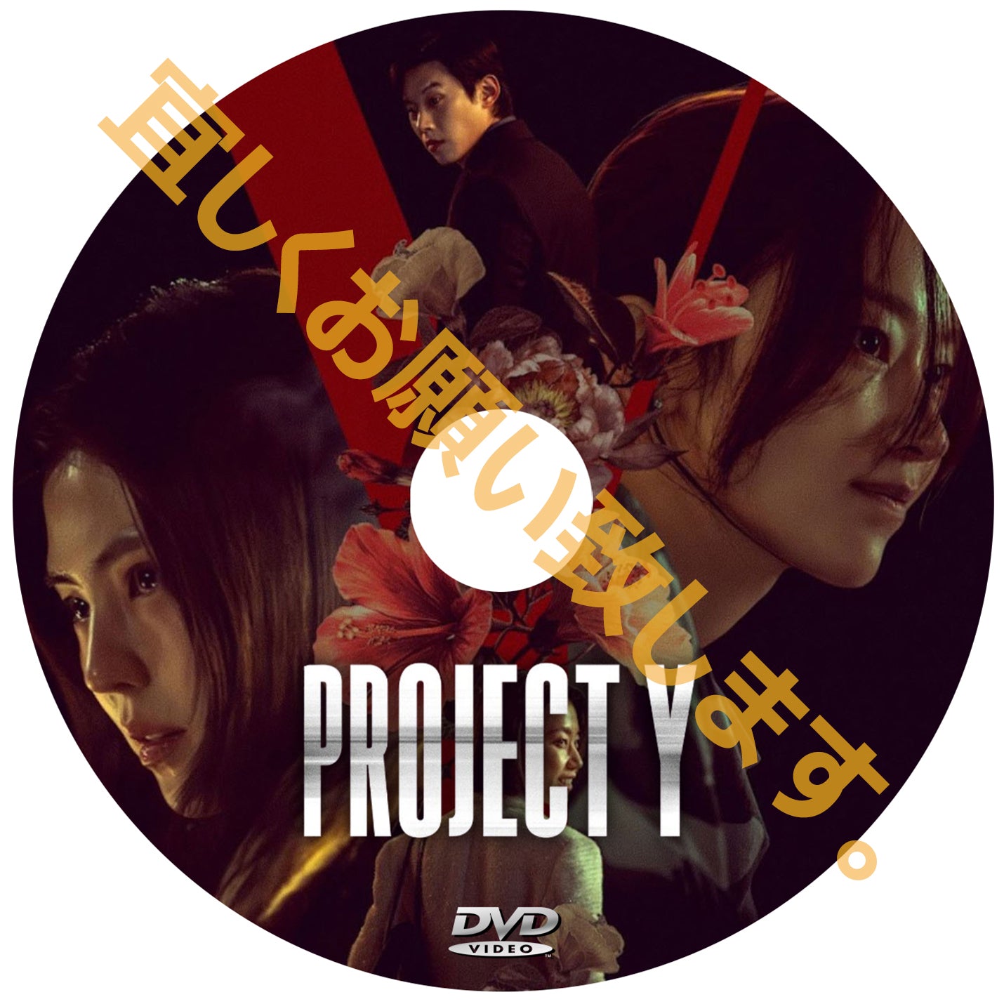 1189. PROJECT Y （韓国映画）