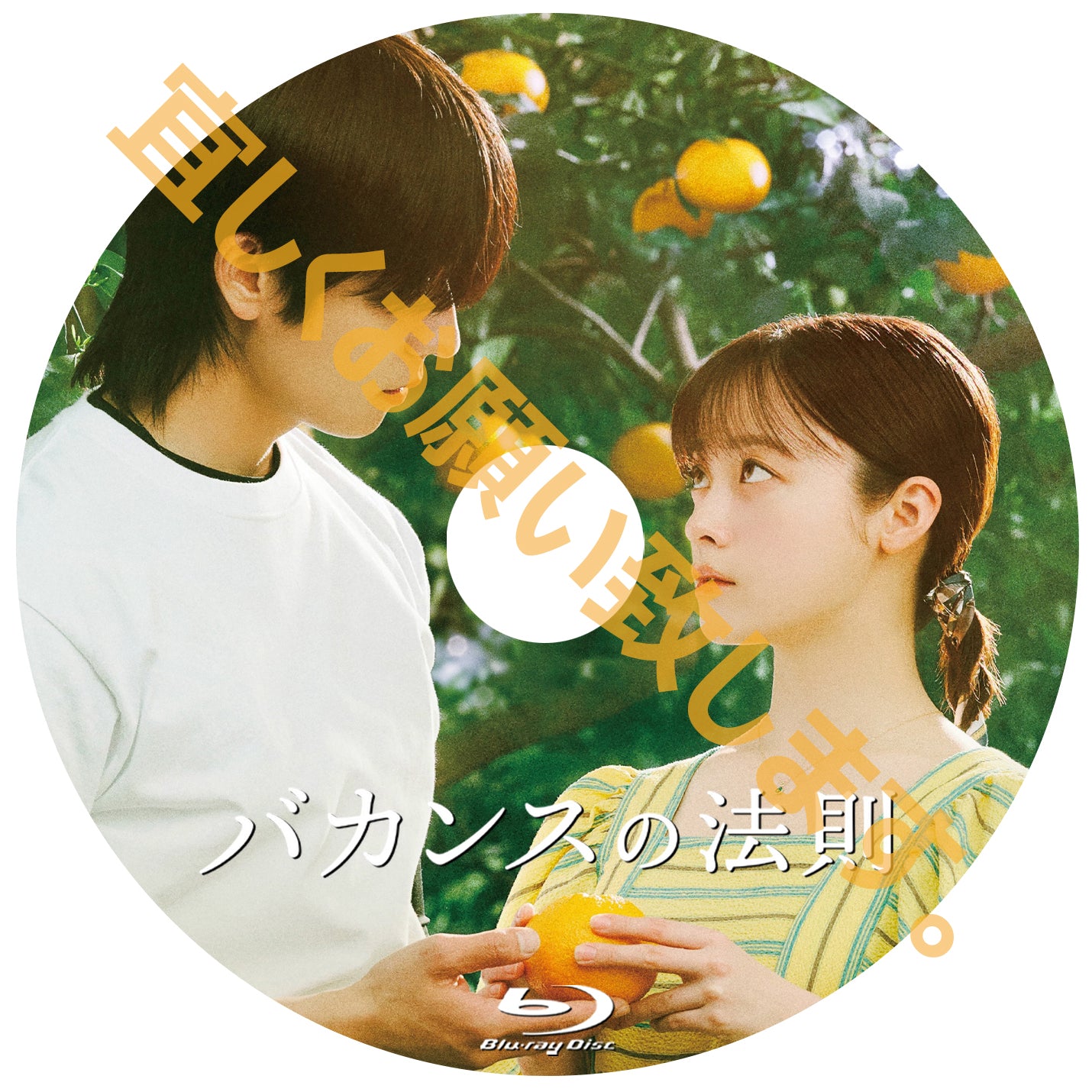 1258. バカンスの法則