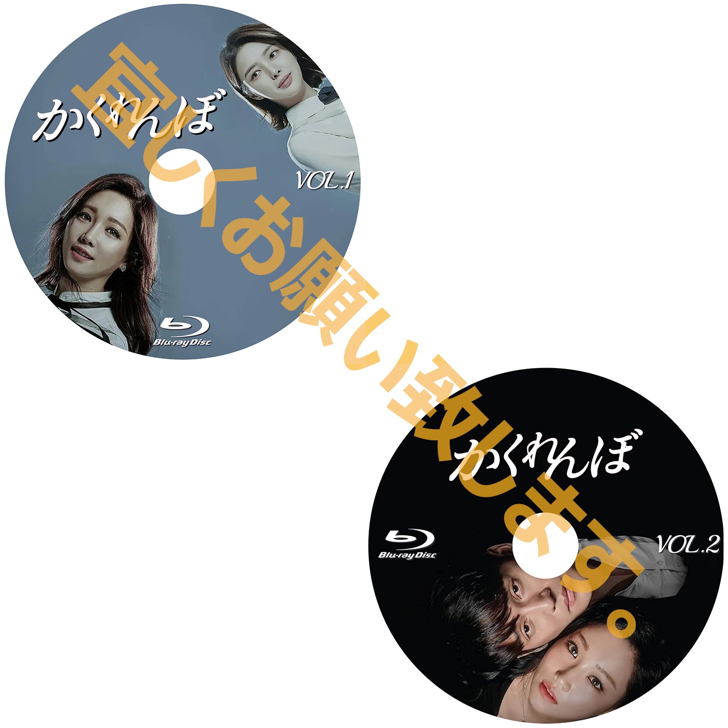 1063.かくれんぼ