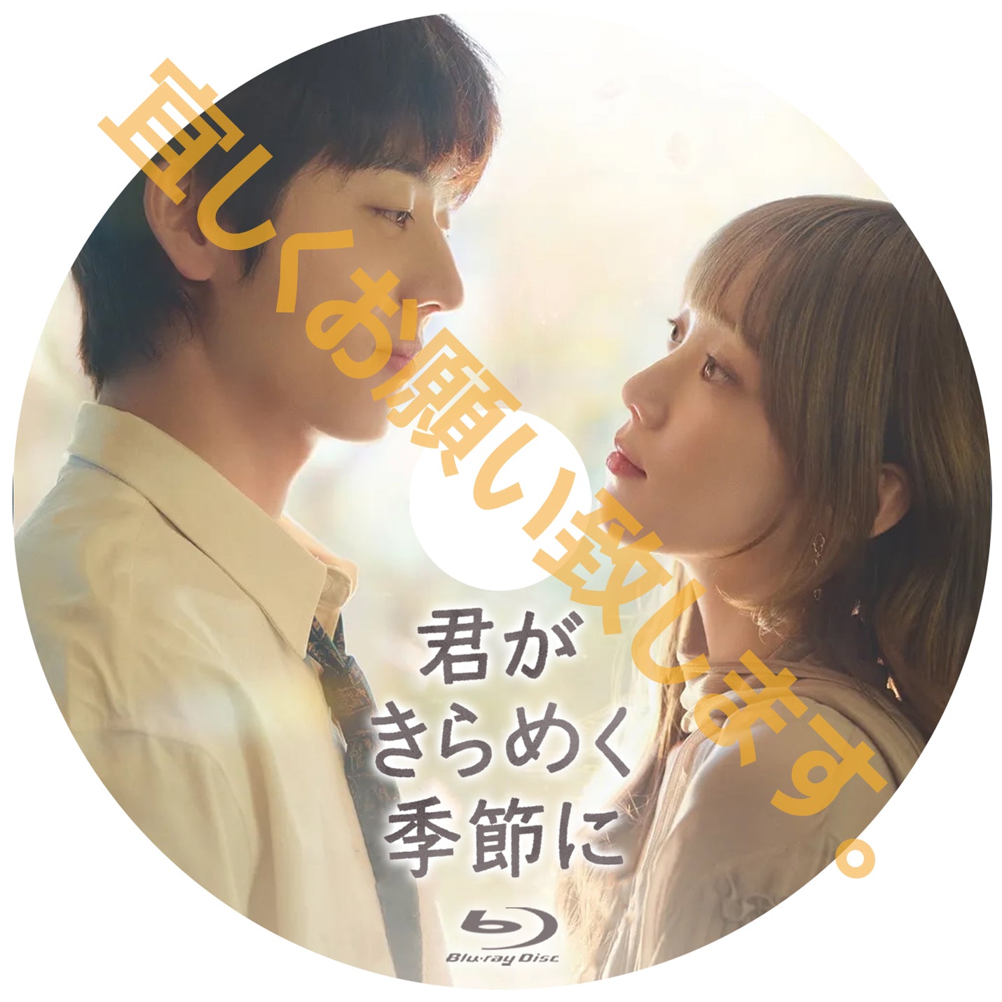 1142. 君がきらめく季節に
