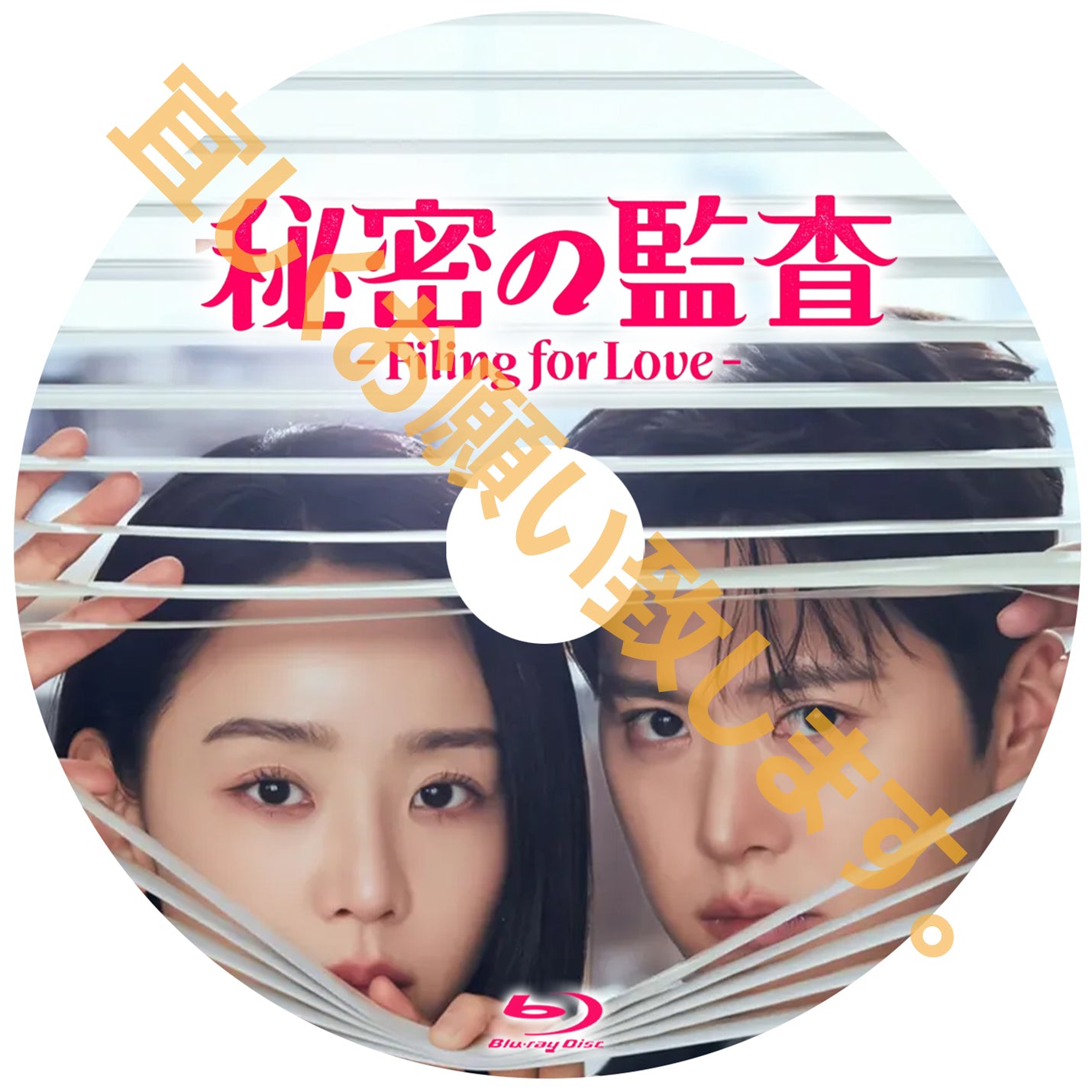 1183. 秘密の監査 -Filing for Love-
