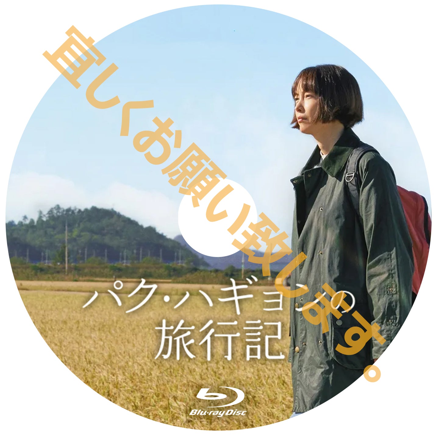 1067.パク・ハギョンの旅行記